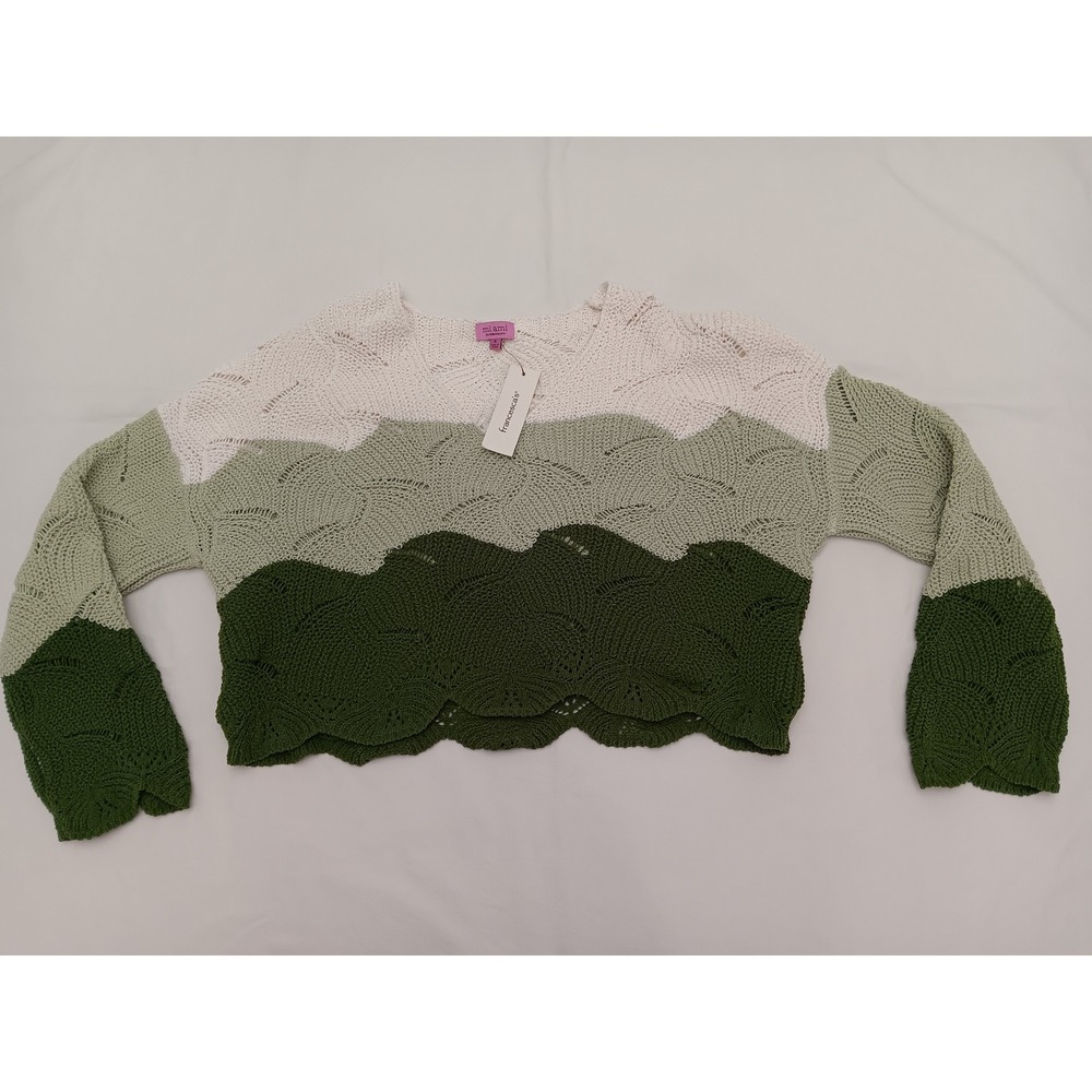 Mi Ami for Francescas Ombre Leaf Knit Crop Sweater Cream Green Size S